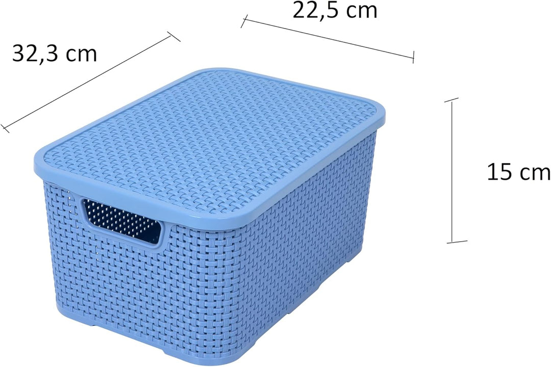 BranQ - Home essential Korb mit Deckel in Rattan Design 2er Set Grösse M 10 l, BPA-frei Kunststoff P