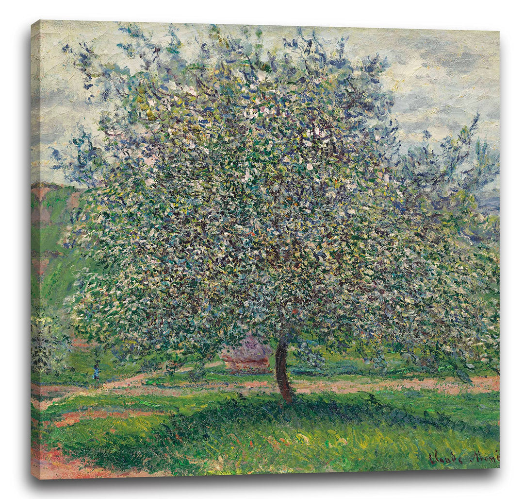 Printed Paintings Leinwand (70x70cm): Claude Monet - Apfelbaum 70x70 cm, 70x70 cm
