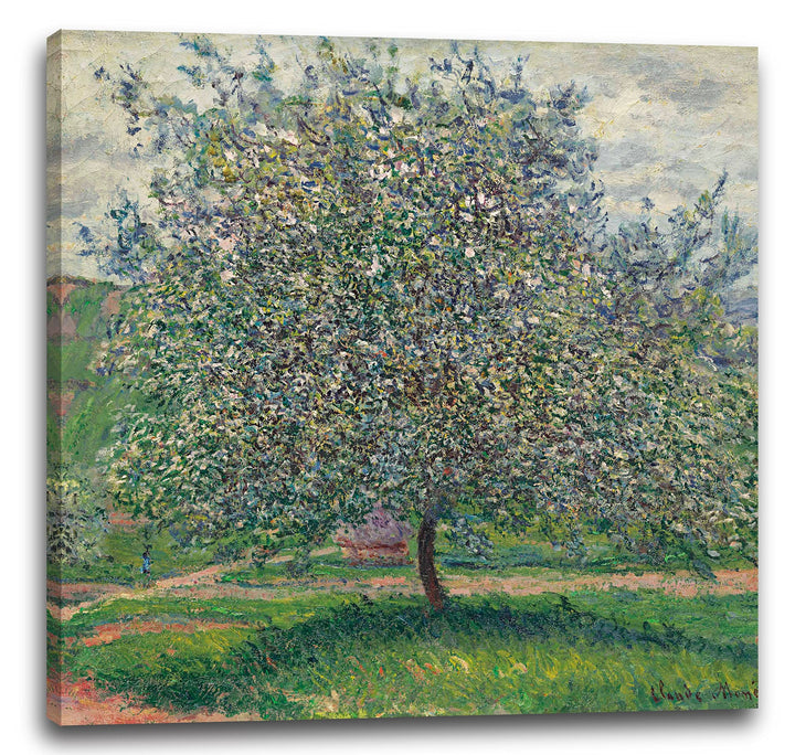 Printed Paintings Leinwand (70x70cm): Claude Monet - Apfelbaum 70x70 cm, 70x70 cm