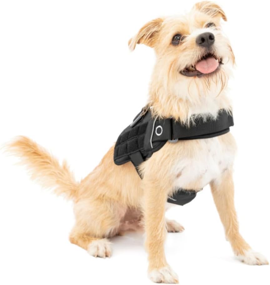 Kurgo RSG Townie Hundegeschirr, Einfaches Anlegen und Abnehmen, Einstellbare Brust- und Bauchgurte,