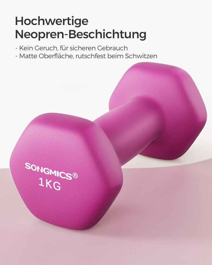 SONGMICS Hanteln, 2er Set,Hantelset, Kurzhanteln, Hexagon, Neopren-Beschichtung, Krafttraining, Work