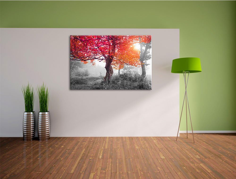 Zauberhafte Waldlandschaft schwarz/weiss Format: 100x70 cm auf Leinwand, XXL riesige Bilder fertig g