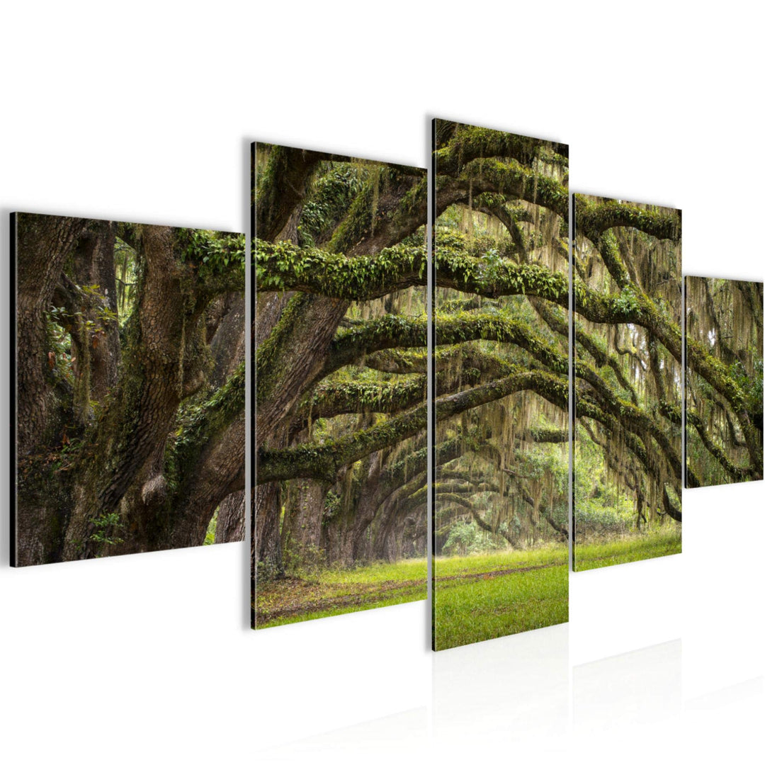 Runa Art Wandbilder Wald Landschaft 5 Teilig Bild auf Vlies Leinwand Deko Schlafzimmer Wohnzimmer Na