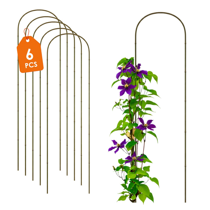 Bambus Pflanzenstütze 75 x 20 cm Natur - 6er Set - Holz Rankbogen Kletterhilfe für Rankpflanzen - Ba
