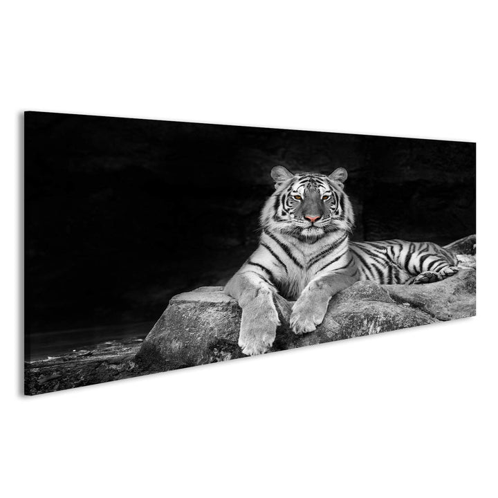 Bild auf Leinwand weisser Tiger Wandbild Poster Leinwandbild 120x40 Panorama, 120x40 Panorama
