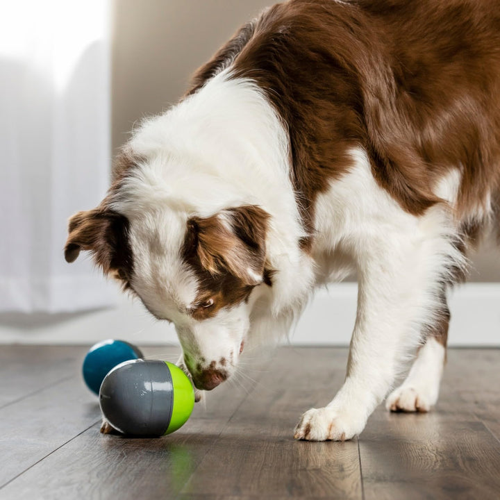PetSafe Fuchsbau Katzenspielzeug, Interaktives Beschäftigungsspielzeug mit Fuchsschwanz, ‎3 AA Batte