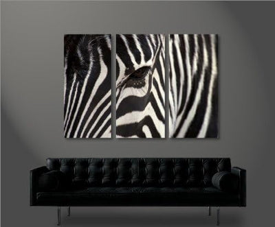 islandburner Bild Bilder auf Leinwand Zebra V2 XXL Poster Leinwandbild Wandbild Dekoartikel Wohnzimm