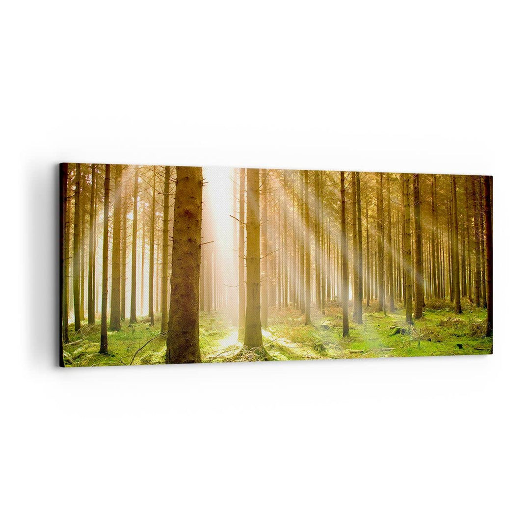 Wandbilder Dekoration Wohnzimmer Bäume Sonne Natur Panorama Bilder auf Leinwand 120x50cm Leinwandbil