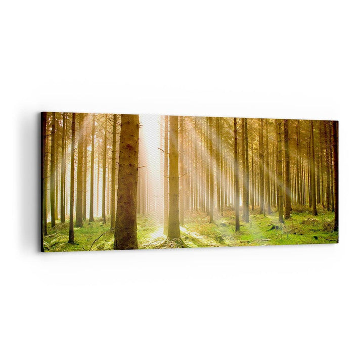 Wandbilder Dekoration Wohnzimmer Bäume Sonne Natur Panorama Bilder auf Leinwand 120x50cm Leinwandbil
