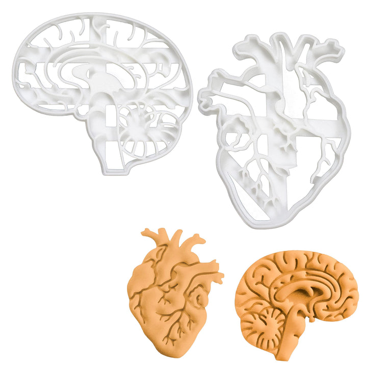 2er Set Anatomisches Herz und Gehirn Ausstechformen (Formen: Anatomisches Gehirn und Herz), 2 Teile,