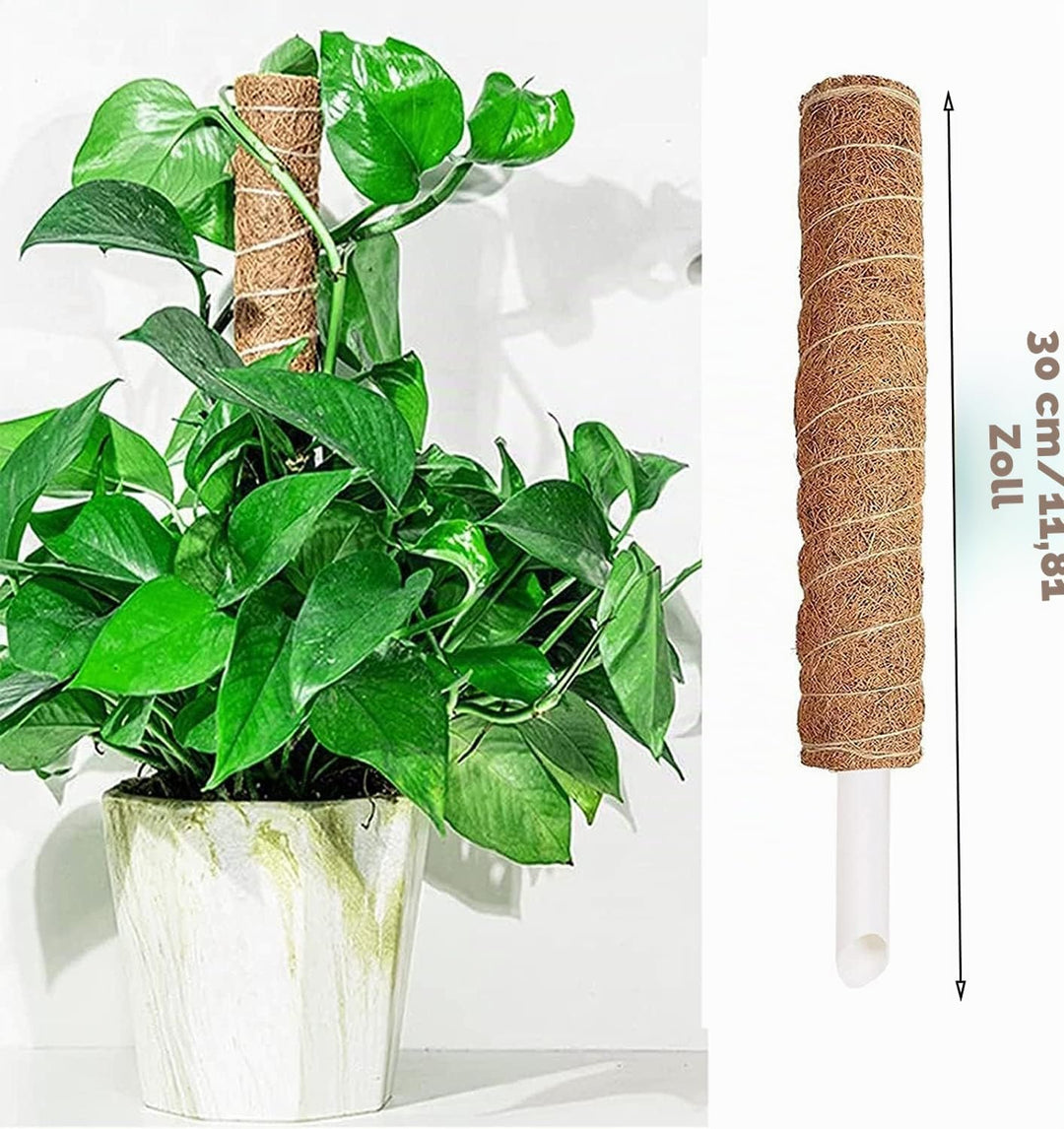 4 Stück Moosstab, 30cm Pflanzstab Kokos Moosstab, Monstera Rankhilfe, für Pflanzenklettern, Hausgart