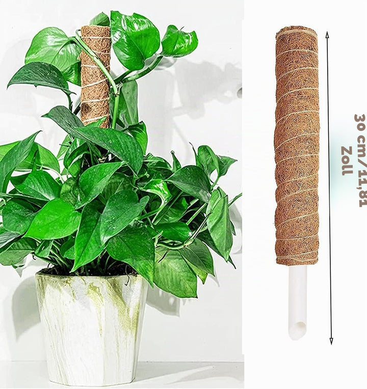 4 Stück Moosstab, 30cm Pflanzstab Kokos Moosstab, Monstera Rankhilfe, für Pflanzenklettern, Hausgart