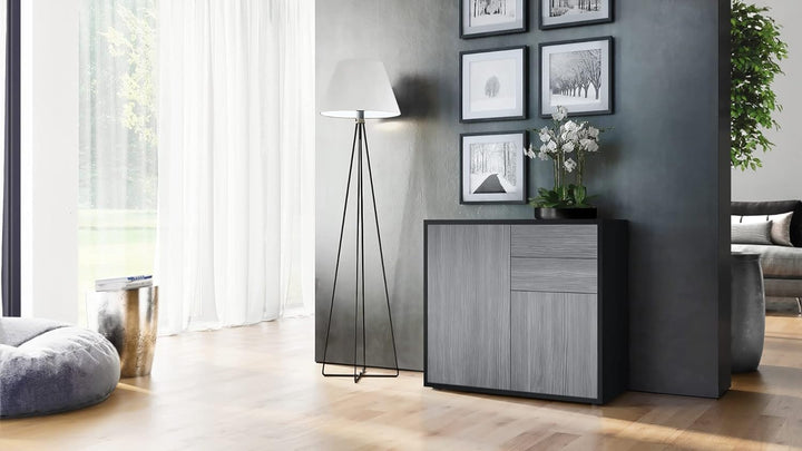 Vladon Sideboard Ben, Made in Germany, Kommode mit 2 Türen und 2 Schubladen, Schwarz matt/Avola-Anth