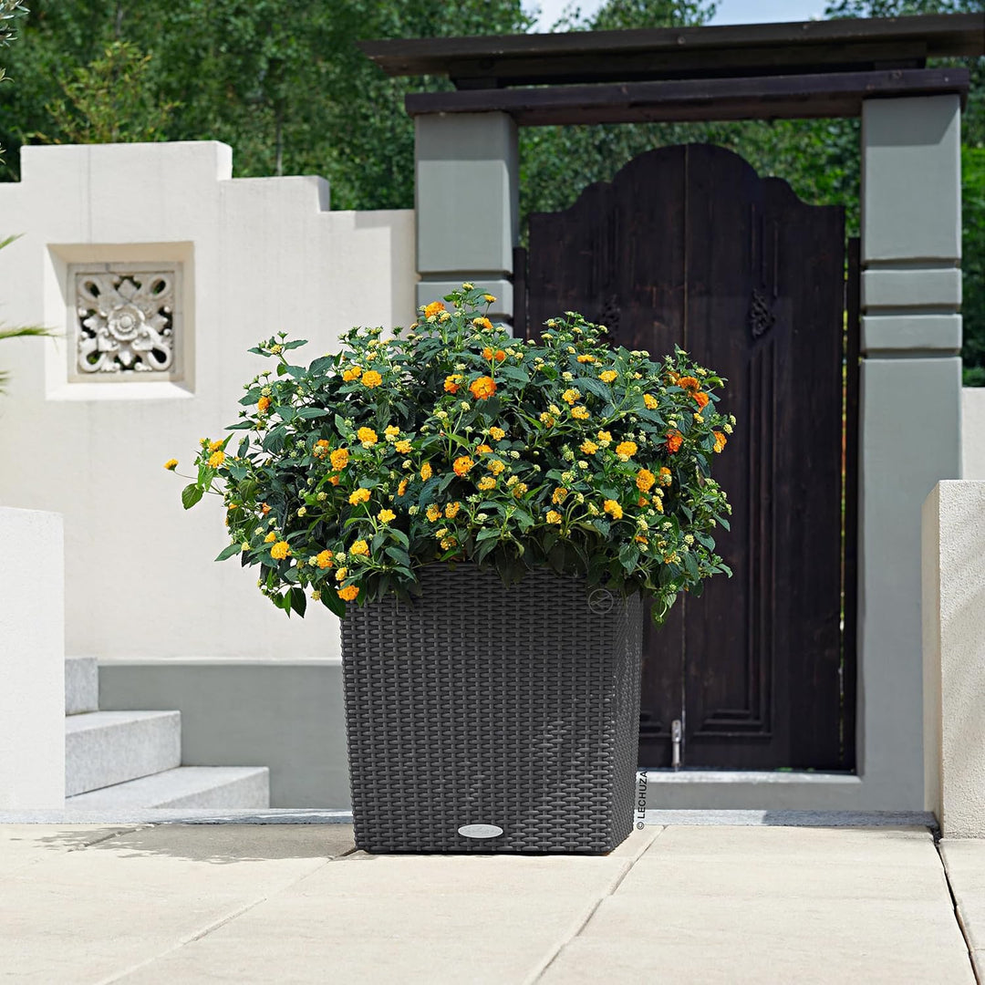 Lechuza "Cube Cottage 40" Pflanzgefäss mit ERD-Bewässerungs-System, Granit, 40 x 40 x 40 cm Pflanzge