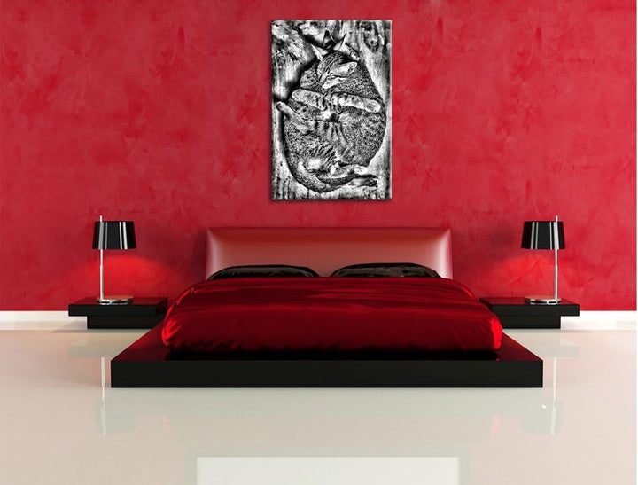 Pixxprint Monocrome, Kuschelnde Katzen, Format: 100x70 auf Leinwand, riesige Bilder fertig gerahmt m