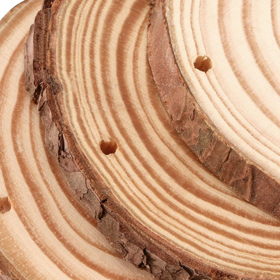 50 Stück 10cm Holzscheiben mit Loch und Juteschnur, Baumscheiben Rund Klein, unlackierte Holzkreise