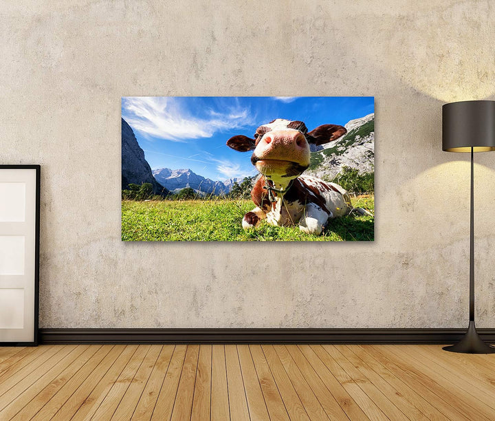 islandburner Bild auf Leinwand Kühe Im Karwendelgebirge In Österreich Bilder Wandbilder Poster Leinw