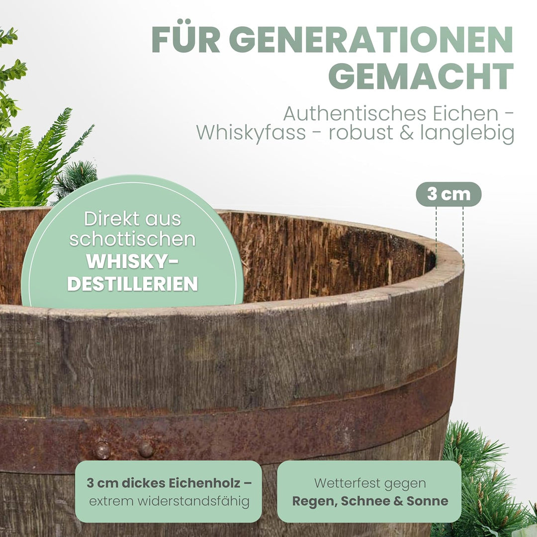 Temesso Halbes Fass aus einem originalen schottischen Whiskyfass (Natur unbehandelt) 90 Liter Standa