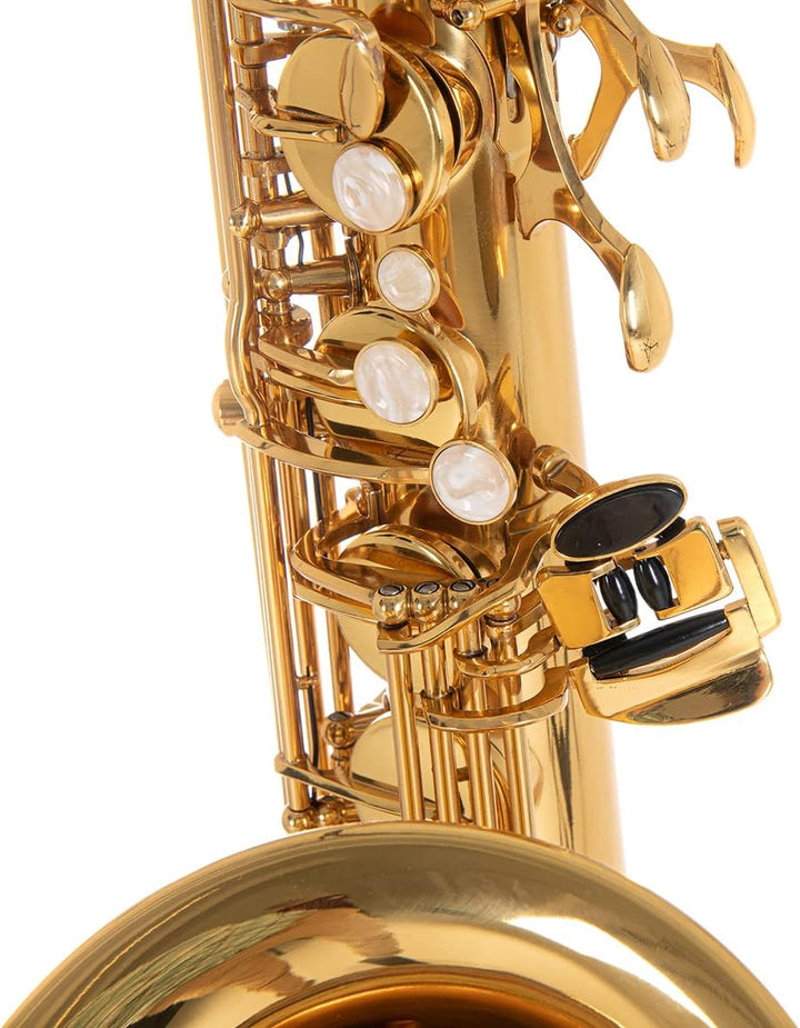 Roy Benson Bb-Tenor Saxophon MOD.TS-202 Messing Korpus lack., inkl. leichtem Rechtecketui, TS-202