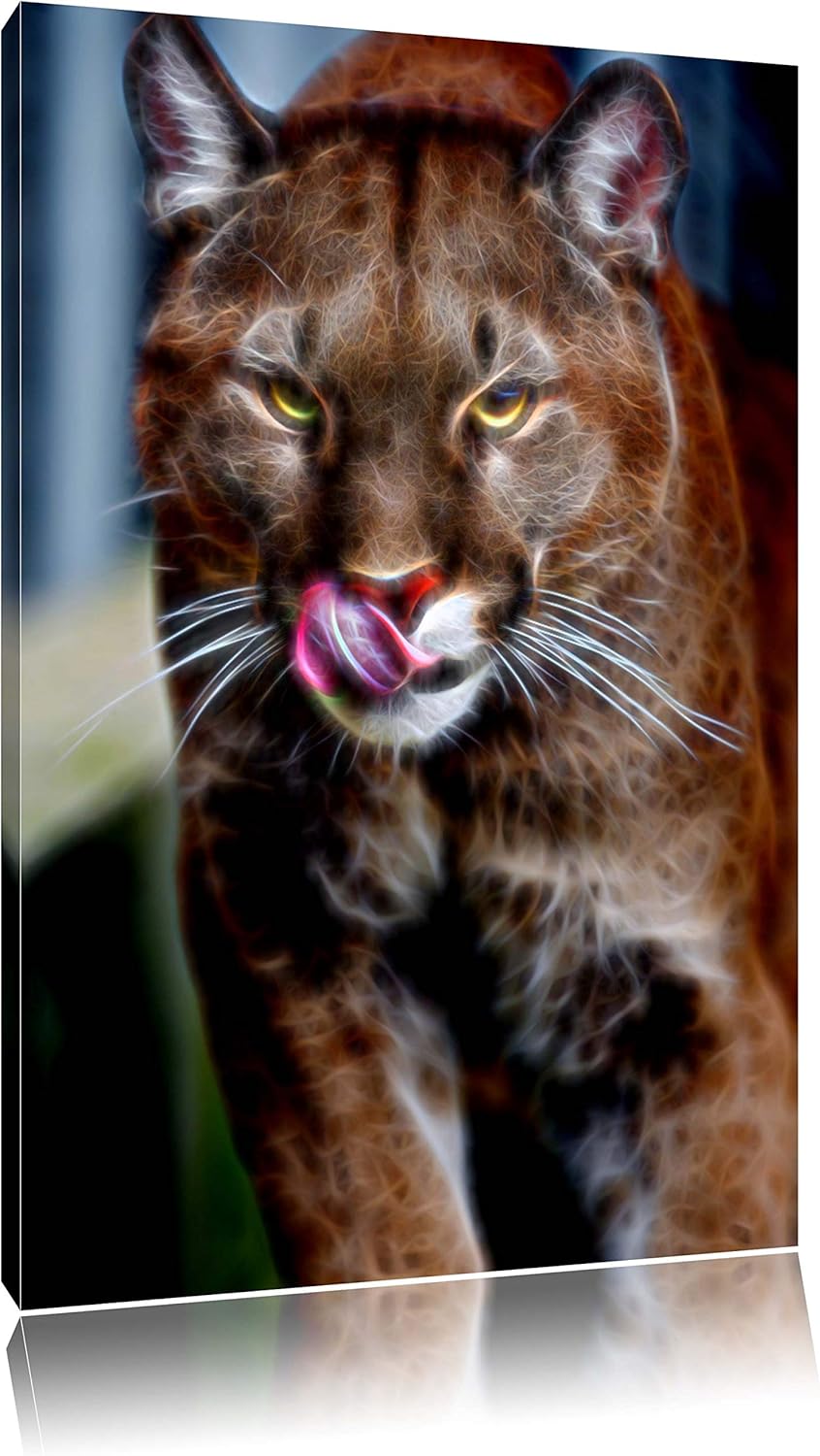anmutiger Puma Deluxe Format: 100x70 cm auf Leinwand, XXL riesige Bilder fertig gerahmt mit Keilrahm