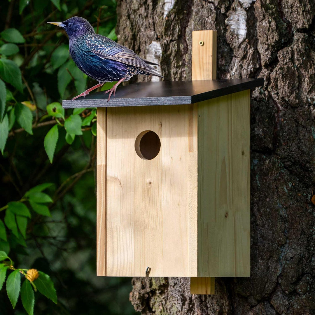 dobar® Klassischer Nistkasten für Stare und Spechte - Vogelbrutkasten zum Aufhängen - 22 x 25 x 32 c