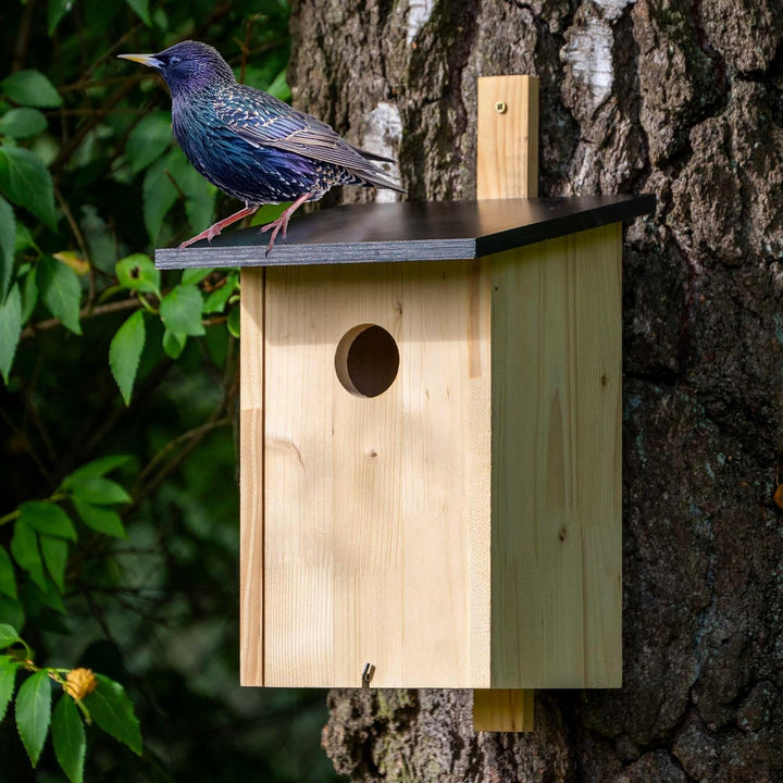 dobar® Klassischer Nistkasten für Stare und Spechte - Vogelbrutkasten zum Aufhängen - 22 x 25 x 32 c
