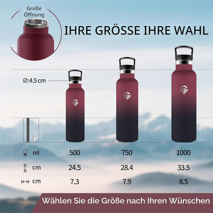 Trinkflasche, 750 ML BPA-Frei, Thermosflasche, Auslaufsichere Isolierflasche Doppelwandig, Wasserfla