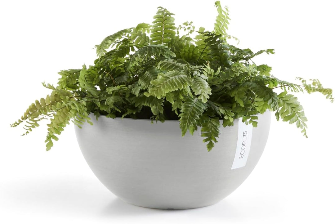 ECOPOTS Pflanzschale Blumentopf Brüssel Hellgrau Grau - Durchmesser Ø 30 cm rund gross - Pflanzentop