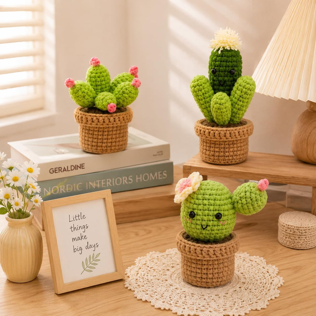 Boriad Häckel Kit für Anfänger,3 Cactus Stricken für Anfänger set,Crochet Set mit Häkelanleitung für