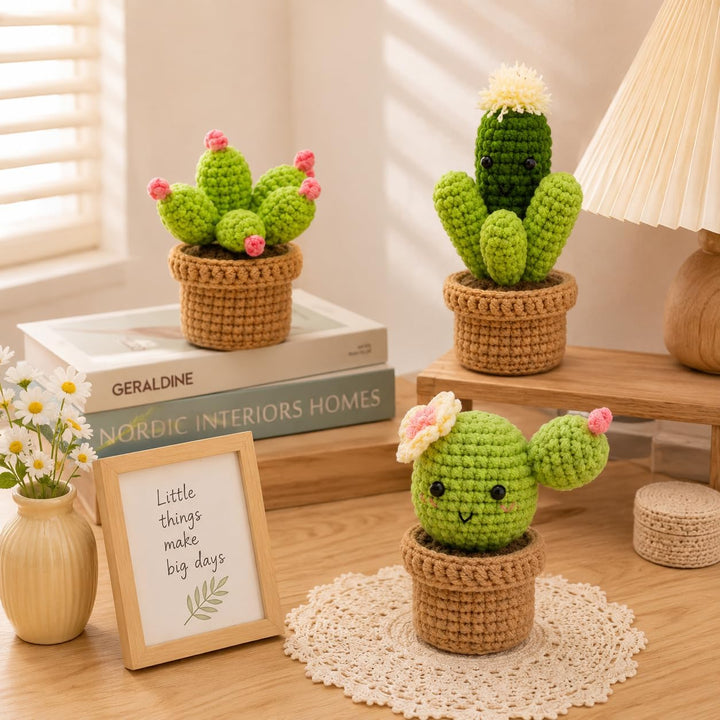 Boriad Häckel Kit für Anfänger,3 Cactus Stricken für Anfänger set,Crochet Set mit Häkelanleitung für