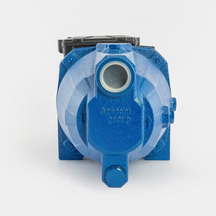 Speroni® Selbstansaugende Elektropumpe CAM 100 V.230 Hz.50