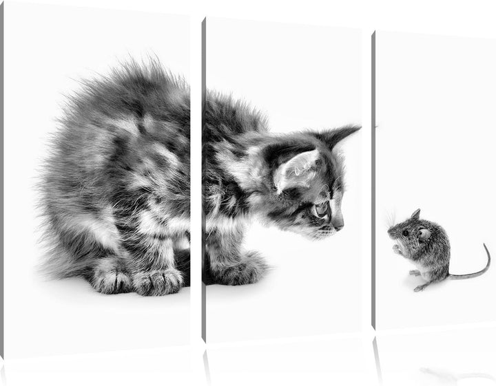 Pixxprint Katze und Maus Freunde als Leinwandbild/Grösse: 3 Teilig (120x80) cm/Wandbild/Kunstdruck/f