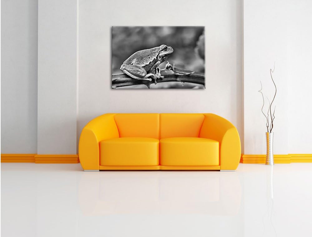 Pixxprint Kleiner Frosch auf Dornenast / 100x70cm Leinwandbild bespannt auf Holzrahmen/Wandbild Kuns