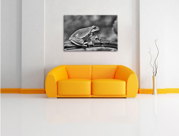Pixxprint Kleiner Frosch auf Dornenast / 100x70cm Leinwandbild bespannt auf Holzrahmen/Wandbild Kuns