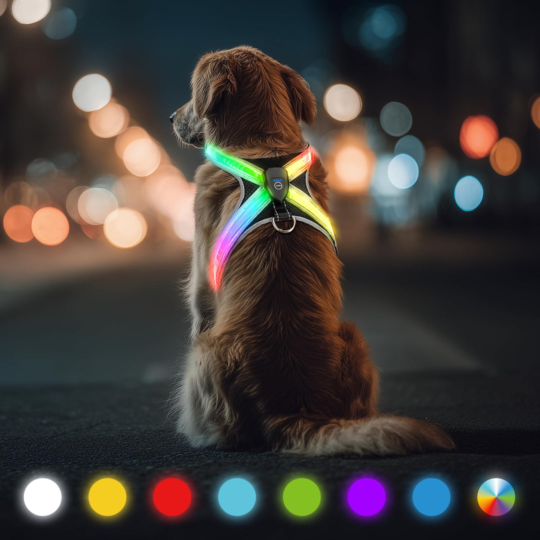 LED Leuchtgeschirr für Hunde - Aufladbar & Reflektierend Hundegeschirr, 3-Lagiges Air Mesh für Atmun