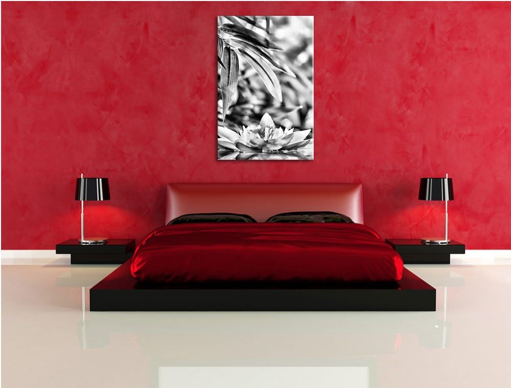 Pixxprint Monocrome, Weisse Seerose im Wasser Wellness, Format: 100x70 auf Leinwand, 100x70