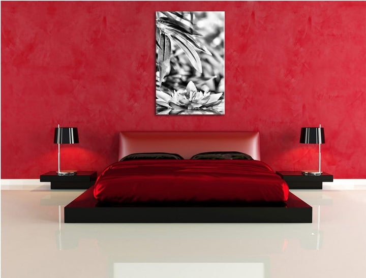Pixxprint Monocrome, Weisse Seerose im Wasser Wellness, Format: 100x70 auf Leinwand, 100x70