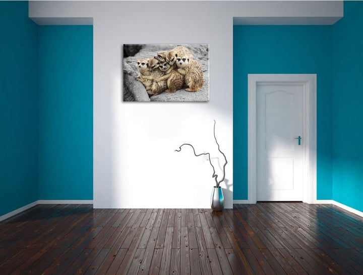 süsse Erdmännchen kuscheln schwarz/weiss Format: 100x70 auf Leinwand, XXL riesige Bilder fertig gera