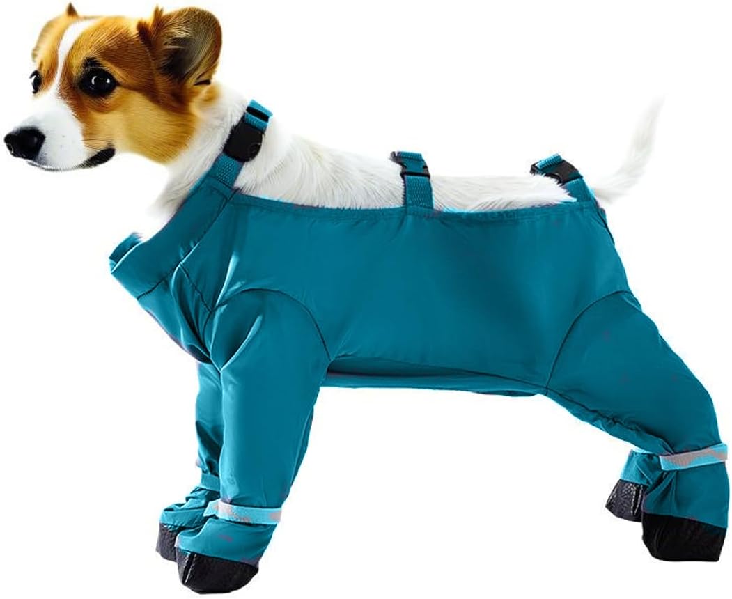 Hunderegenmantel Bauchschutz, Hundebodysuit Wasserdicht, Hunde Anti-Matsch Kleidung für Spaziergang,