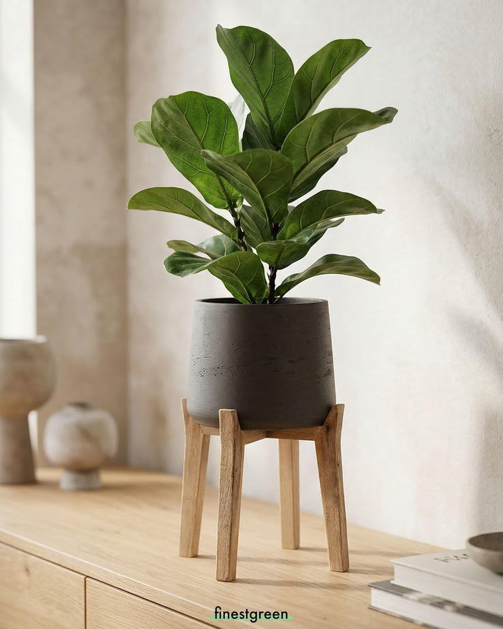 Finestgreen Patt Feet High | Handgefertigtes Pflanzgefäss auf Holzfüssen (M Ø:23 H:34,5 cm, Schwarz)