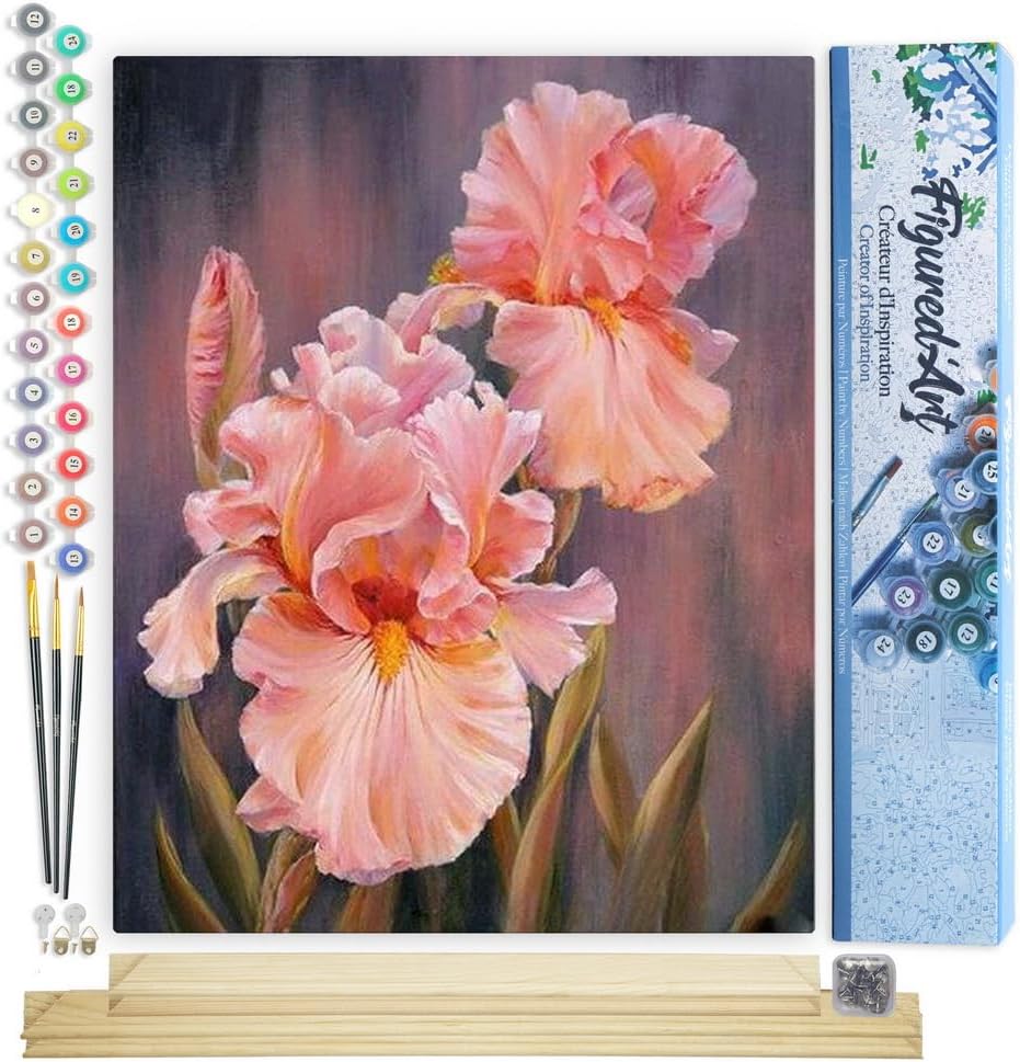 Figured'Art Malen Nach Zahlen Erwachsene Mit Rahmen Iris Blumen - Paint by Numbers Basteln DIY Baste