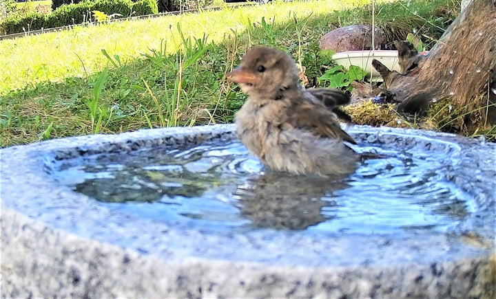 Vogelbad aus Granit mit Fuss (5 Steinvögel am Rand sitzend), 5 Steinvögel am Rand sitzend
