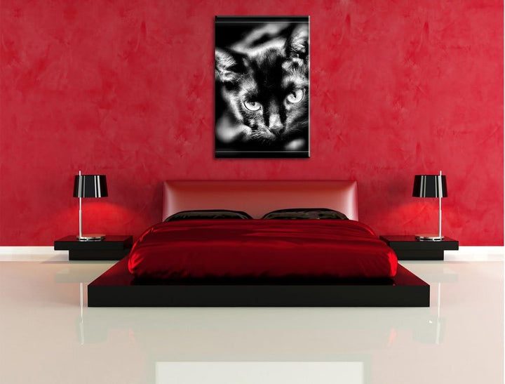 Pixxprint schöne Schwarze Katze als Leinwandbild/Grösse: 100x70 cm/Wandbild/Kunstdruck/fertig bespan