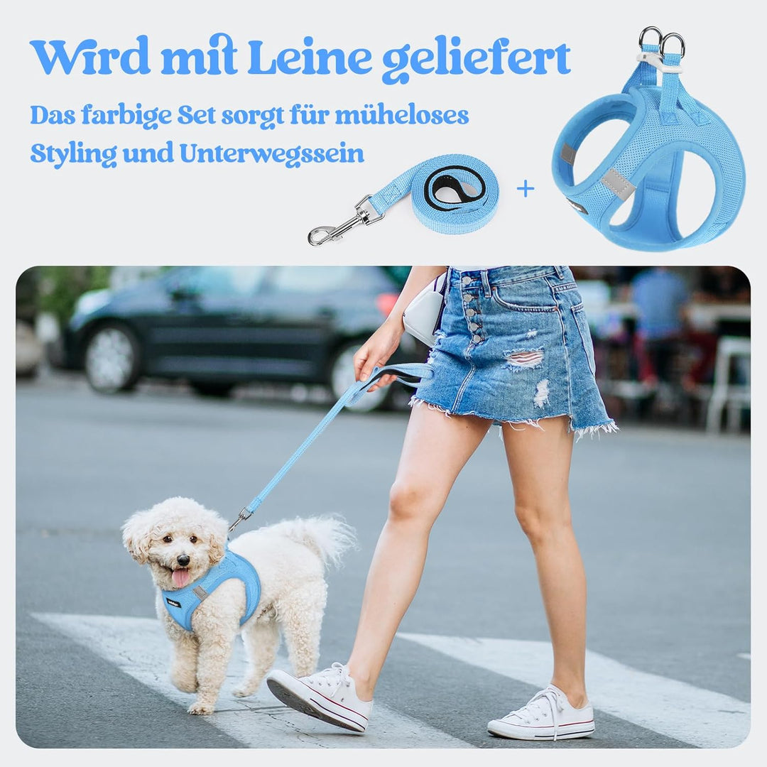 rabbitgoo Hundegeschirr Kleine Hunde mit Leine, Step-in Welpengeschirr Weich Mesh für Spaziergänge,