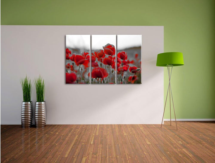 Pixxprint Feuriger Mohn als Leinwandbild | Grösse: 3 Teilig (120x80) | Wandbild| Kunstdruck | fertig