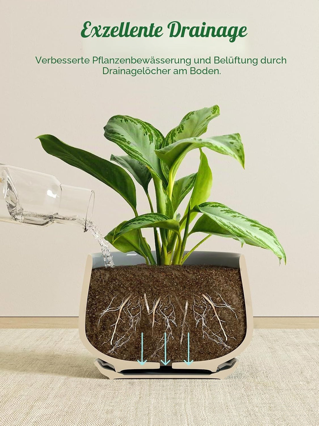 LE TAUCI Blumentöpfe für Zimmerpflanzen, 4,1 + 5,1 + 16,5 cm, 3 Stück, Keramik-Pflanzgefässe mit Dra