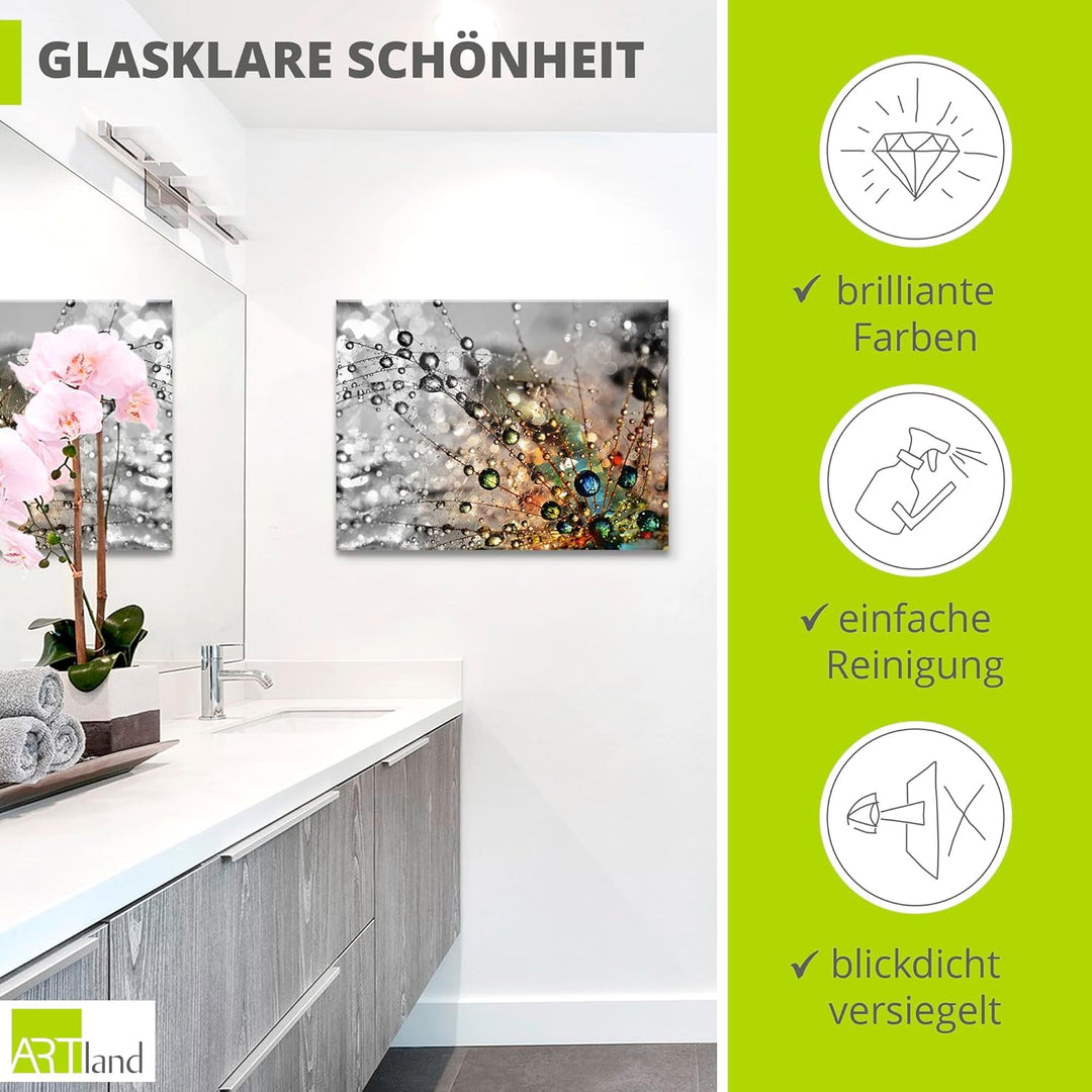 Glasbilder Wandbild Glas Bild einteilig 60x45 cm Querformat Natur Botanik Blumen Pusteblume Frühling