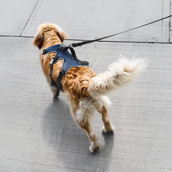 Jewyow Hundegeschirr Leuchtend, Wiederaufladbare LED Hundegeschirr, Led Geschirr für Hunde mit Weich