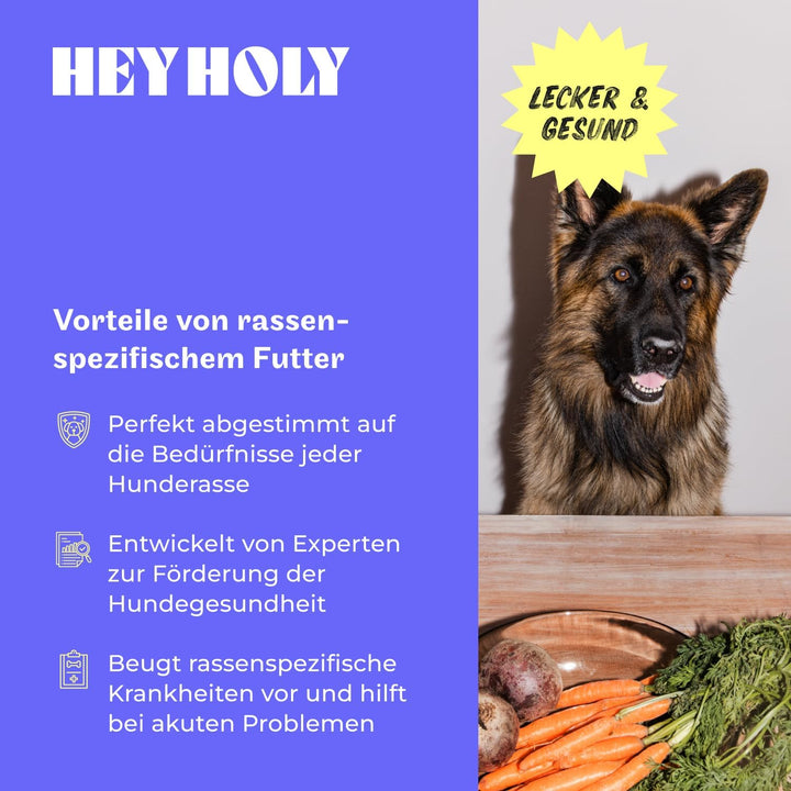 HEY HOLY – Shine-Bright-Shepherds Trockenfutter für ausgewachsene Hunde mit 40% Ente– 1er Pack (7kg)