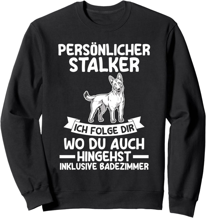 Hund Malinois Sweatshirt